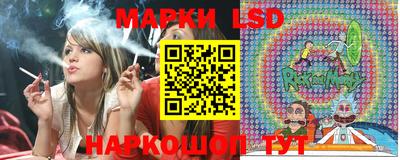 мдпв Донецк