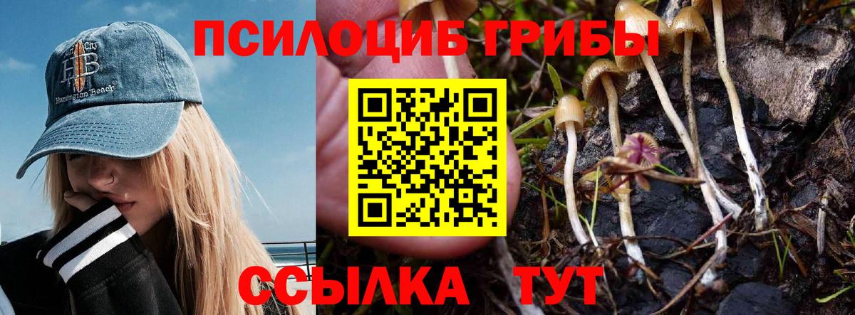 Менделеевск  где продают наркотики  Вход с VPN  Галлюциногенные грибы GOLDEN TEACHER 
